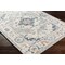 Livabliss Santana SNN-2306 Machine Washable Area Rug SNN2306-2773 - alternate 2